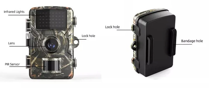 Full HD Trail Camera- IP66 Waterproof for Wildlife Monitoring - Image 3